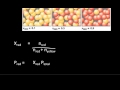 Gas Laws and Mole Fractions