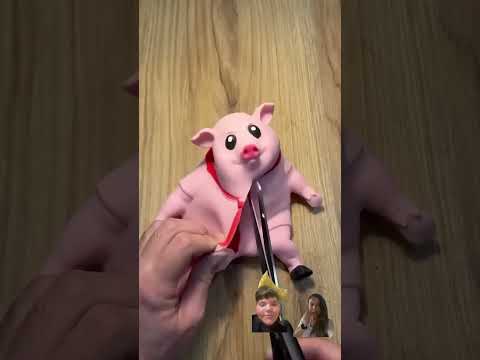 É um patinho!!! #funny #music #jimmie #pets #jimmy #shortsviral #fortnite #cute #animals #pig