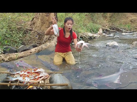 In Forest, Catching big fish  and cook with spicy recipe for jungle yummy