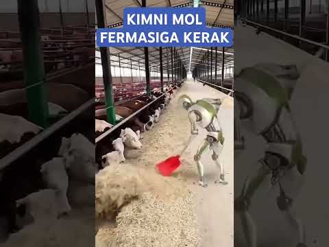 MOL BOQADIGANLAR BORMI. #buqa #buqaboqish #buqalar #mol #qoy #cow #qoybozor #molbozor #hokiz #rek