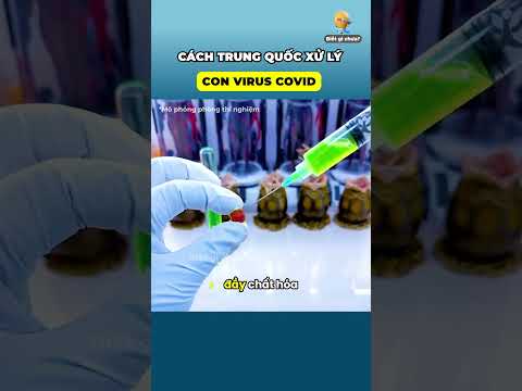 Đây là cách Trung Quốc xử lý con virus Covid