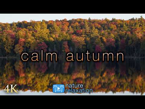 [4K] Calm Autumn from NE USA 🍁1 HR Ambient Nature Film + Soothing  Piano Music