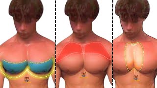 TOP 5 INNER, LOWER AND UPPER CHEST WORKOUT  WITH DUMBBELLS ONLY AT HOME OR GYM5 ( PROGRAM )