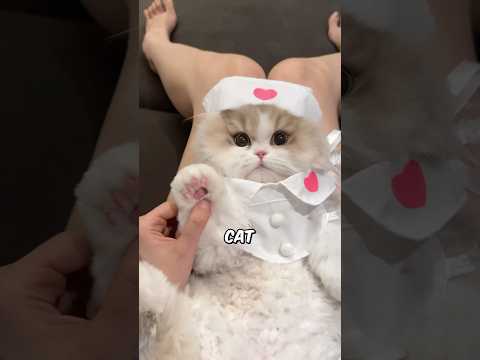 Cats Are Guardian Angels in Disguise ๐ชฝ