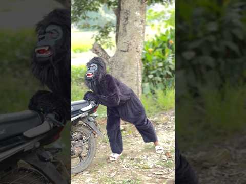 एक राम भक्त की कहानी 🚩🙏🏼 || जय श्री राम || राम नवम || राम जी स्टेटस #shorts #ram