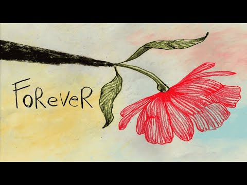 Eric Clapton - Forever (Official Music Video)