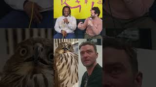 I swear to drunk im not God, im Buzzstin Timberdrank