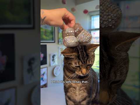Using my cats fur to make him boots?!😂