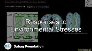 Responses to Environmental Stresses