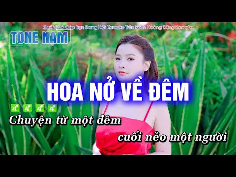 Karaoke Hoa Nở Về Đêm (Tone Nam) Beat Phối mới cực hay – Hoàng Dũng Karaoke