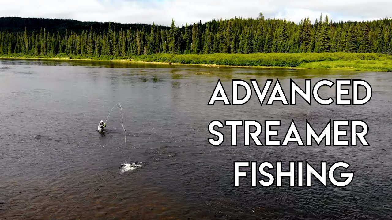 Advanced Streamer The New Fly Fisher