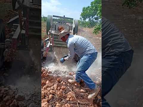 comprou uma fazenda cheia de pedras