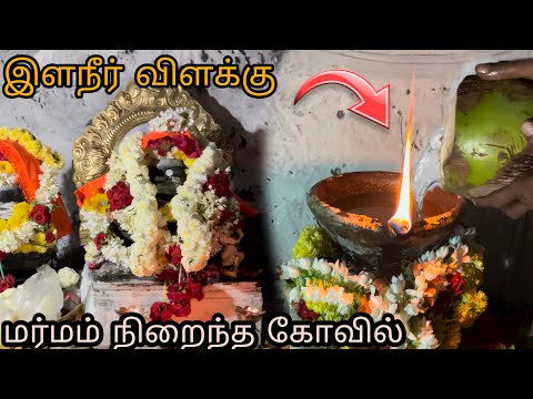 இளநீரில் எரியும் விளக்கு 🙄| Krishnagiri district | Tamil mystery |@naveenvlogs30