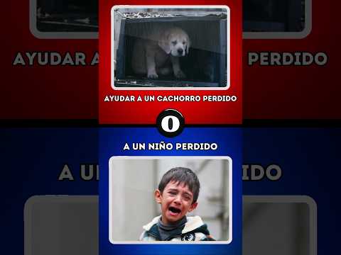 Que prefieres? | Ayudar a un cachorro perdido o a un niño perdido?