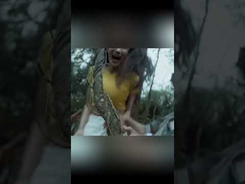 Countless little snakes broke out of the eggs! |【蛇岛狂蟒 Snake Island Python】| YOUKU MOVIE | 优酷电影