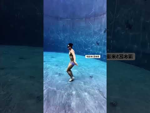 deep seek lets findo