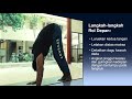 Backward and Forward Roll Techniques