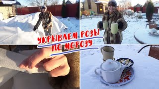 видео