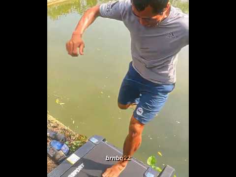 Anh Côn - Thời Tồ Tề Năm Nào