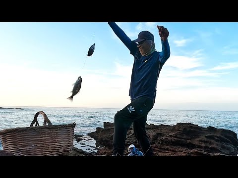 Pescador astuto madruga y descubre una poza llena de peces… ¡mira lo que atrapó!