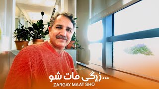 Haroon Bacha - Zargay Maat Sho (New Pashto Song, 2025) | Music Video | هارون باچا - زړګی مات شو