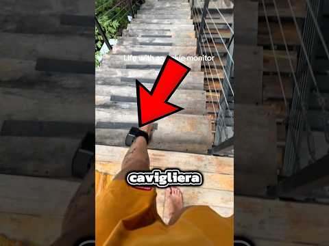 Si scaricano le cavigliere dei domiciliari? (@ivysbackxoo)via tt