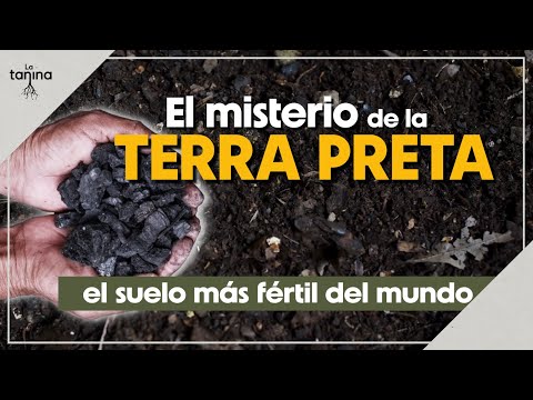 El secreto de la ABUNDANCIA: Aprender de nuestros ANCESTROS.🏵️