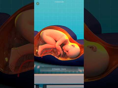 Babies Are Born So Weak... But Why? 😨