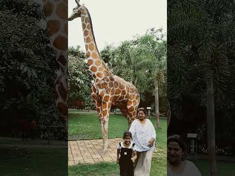 bade giraffe 🦒 pe kaise baitha du 😍#shorts