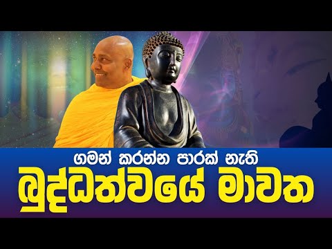 ගමන් කරන්න පාරක් නැති බුද්ධත්වයේ මාවත