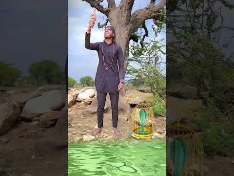 नागिन🐍का क्रोध || Nalayak Team 06 || #shorts