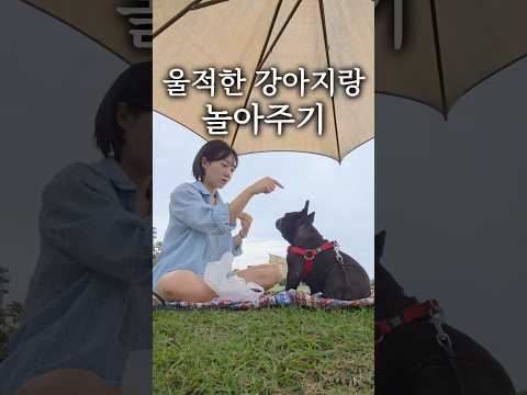 (얘가 나랑 놀아주는걸지도)