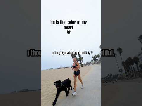 Can I take a photo of your dog? ๐ค#doglover #dog #photography