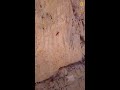 Free Solo Climbing Concepts