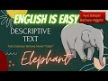 Kuis Deskripsi Hewan Gajah