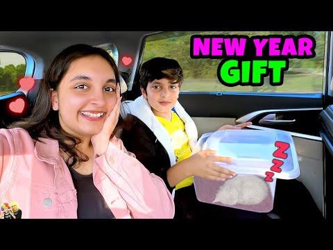 NEW YEAR GIFT | Pihu ka new Pet | Happy New Year 2025 | Aayu and Pihu Show