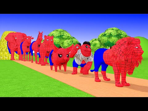 Paint & Animals Spider Duck,Cow,Gorilla,Lion,chicken,Elephant Fountain Crossing Turtle Cartoon Games