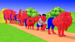 Paint & Animals Spider Duck,Cow,Gorilla,Lion,chicken,Elephant Fountain Crossing Turtle Cartoon Games