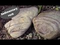 Weathering and Sedimentary Rocks Concepts