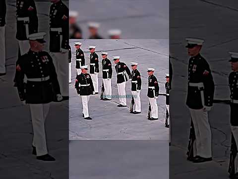 Joe Rogan Parody Reaction To US MARINES Silent Drill FAIL…