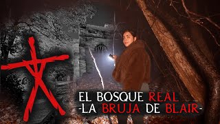 Entre al Bosque de la Bruja de Blair ♰ | Un Lugar Prohibido por Dios 🌳💀