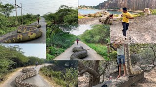 Top 5 Most Amazing Anaconda Encounters