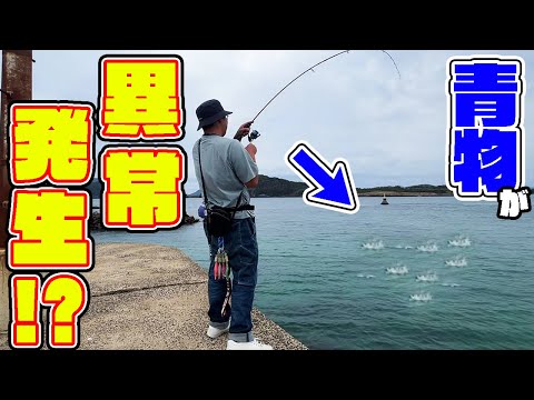 【離島生活#32】離島の離島に渡ってみたら堤防から青物が！！