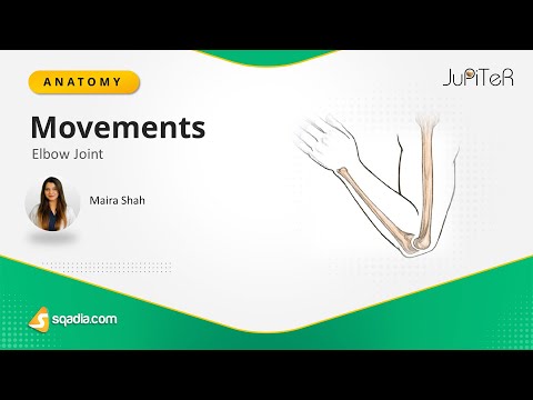 Elbow Joint | Movements | Bone, Ligaments and Muscles Anatomy Made Easy for Medical Students