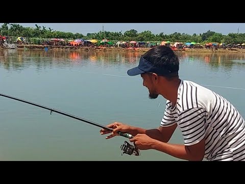 Lovely colorful carp fishing video scenes