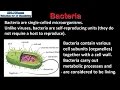 Differences Between Viruses and Bacteria