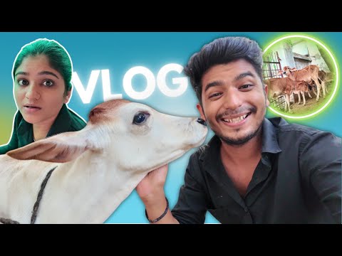 MY HOME TOUR😍MEET MY FAMILY | VLOG 670