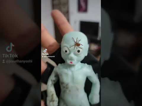 Una Araña!!! #araña #viral #parati #flexors #marcianos