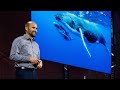 Biomimetic Machines and Robotic Fish