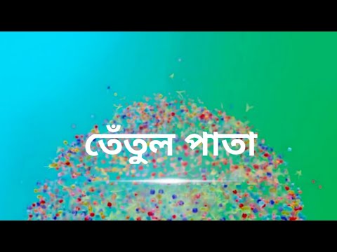 অপেক্ষার অবসান। তেতুল পাতা। কোন গল্পের আদলে তৈরী নতুন ধারাবাহিকের promo ।New coming serial promo